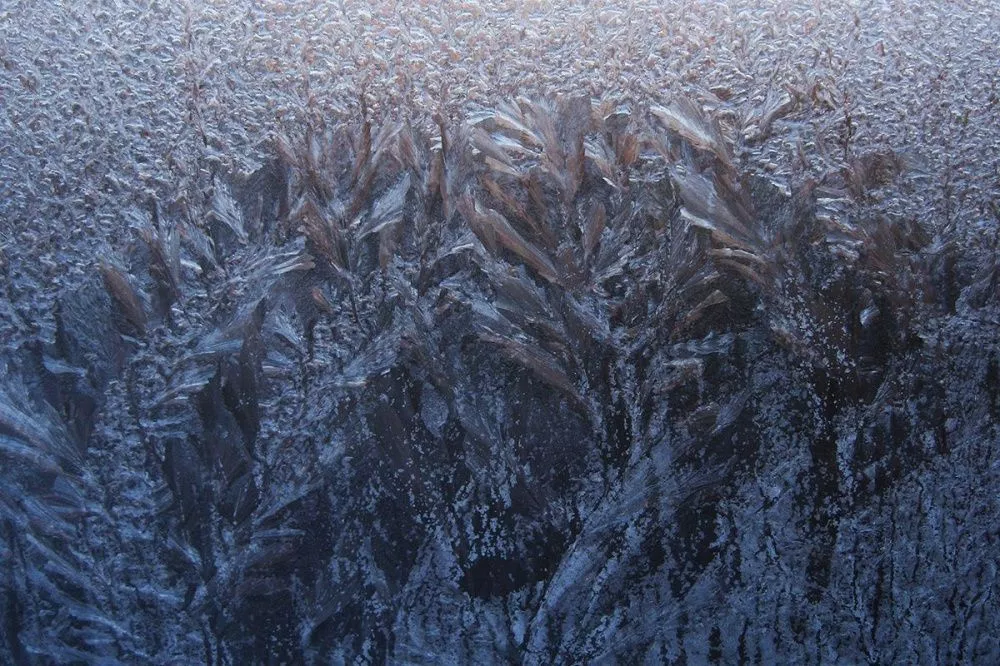 Фото Мороз до -9 градусов обещают нижегородцам синоптики на 28-29 января - Новости Живем в Нижнем