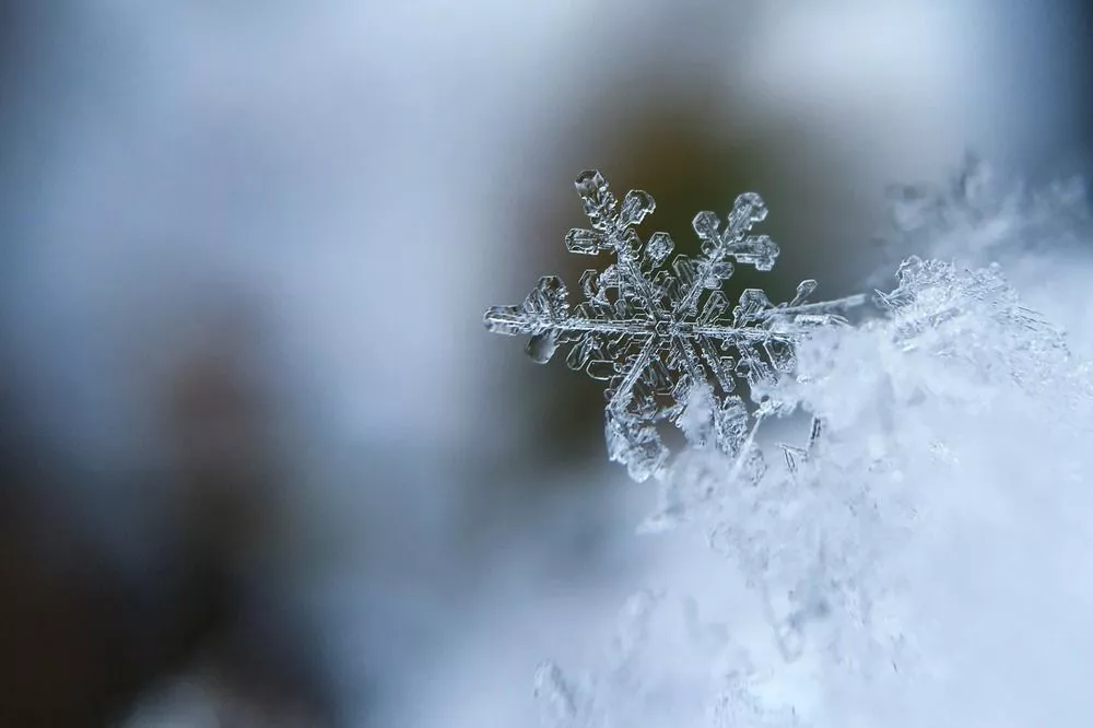 Фото Похолодание до -11°C обещают синоптики нижегородцам 23 ноября - Новости Живем в Нижнем