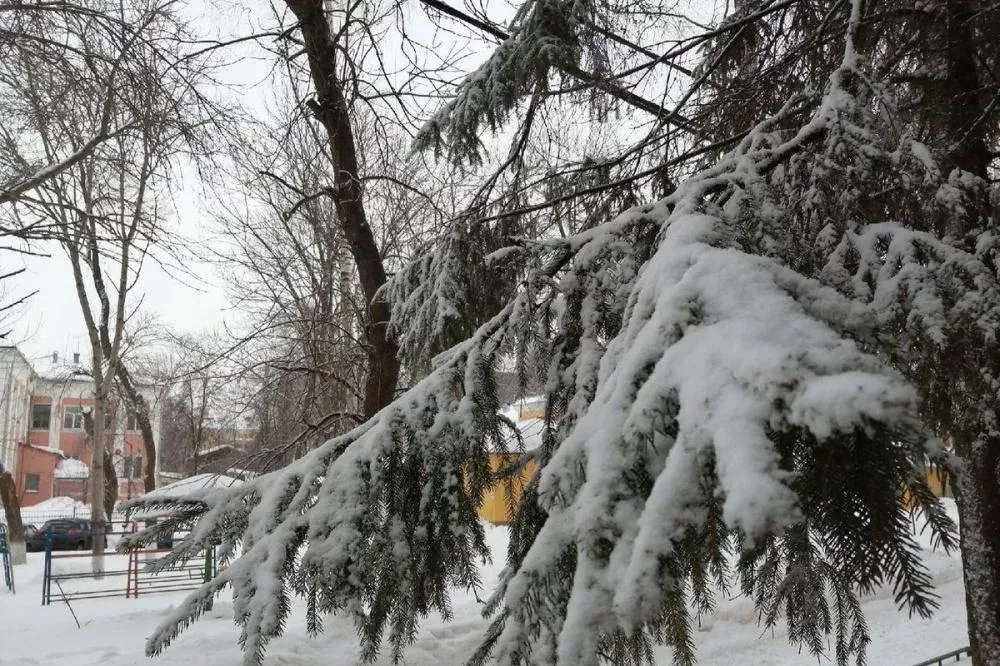 30-градусные морозы ожидаются в Нижегородской области во второй половине января