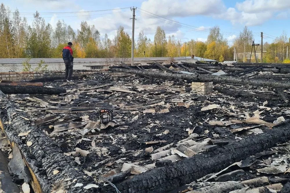 Поджигателя приюта для животных «Доброе сердце» задержали в Семенове