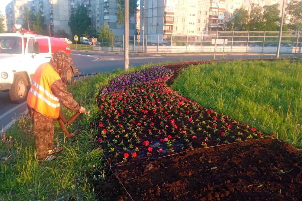 216 цветников украсят районы Нижнего Новгорода в 2023 году