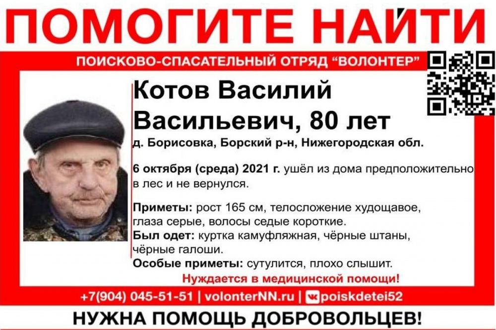 Фото В Нижегородской области 80-летний мужчина ушел в лес 6 октября и не вернулся - Новости Живем в Нижнем