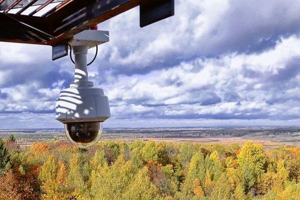 Более 15 млн рублей направлено на видеомониторинг лесов Нижегородской области