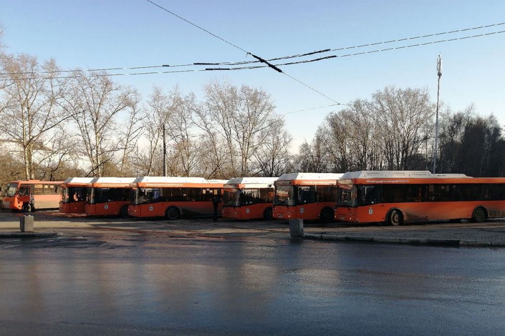 Водители автобусов получили дисциплинарные взыскания в Нижнем Новгороде