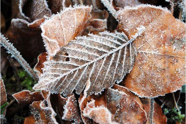 Зима близко: метеорологи прогнозируют похолодание в Нижнем Новгороде 