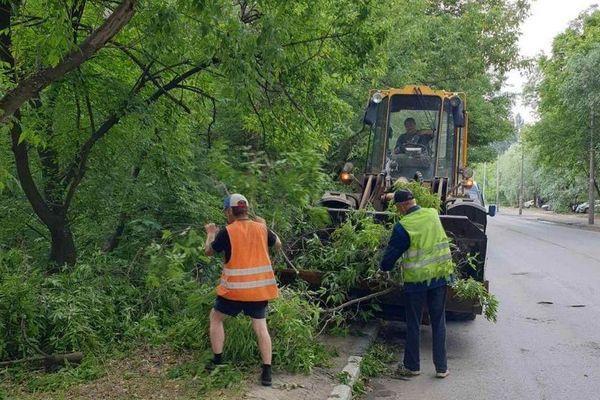 Более 200 деревьев повалил ураганный ветер в Нижнем Новгороде 