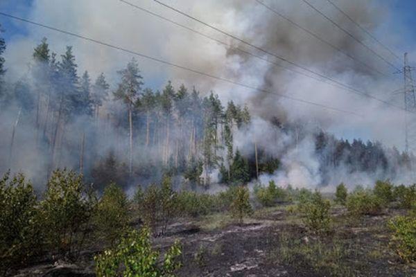 IV класс пожарной опасности установился в лесах 11 районов Нижегородской области