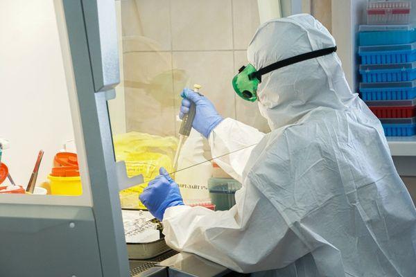 Фото 147 новых случаев заболевания коронавирусом выявили в Нижегородской области - Новости Живем в Нижнем