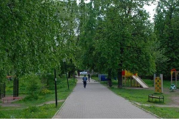 Фото 43,6 миллионов рублей потратят на благоустройство парка Кулибина в Нижнем Новгороде - Новости Живем в Нижнем