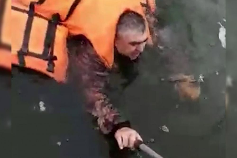 Инспектор МЧС спас рыбака на Горьковском водохранилище в Нижегородской области