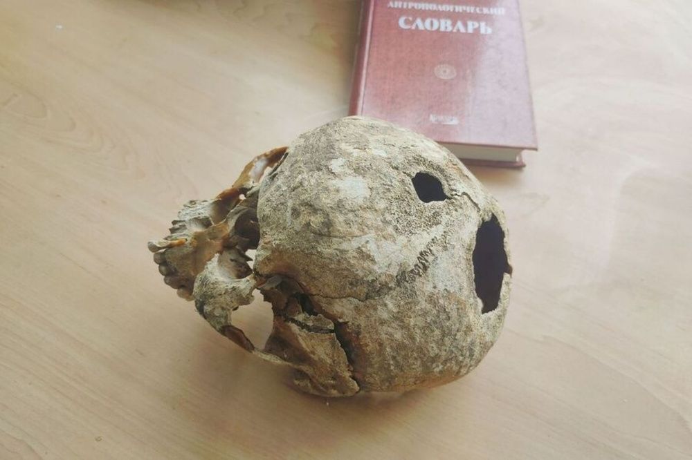 Археологи нашли череп с трепанацией во время раскопок в Городце