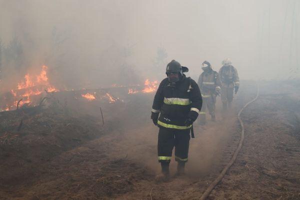 В сторону Сарова несет дым и смог от пожара в заповеднике Мордовии 