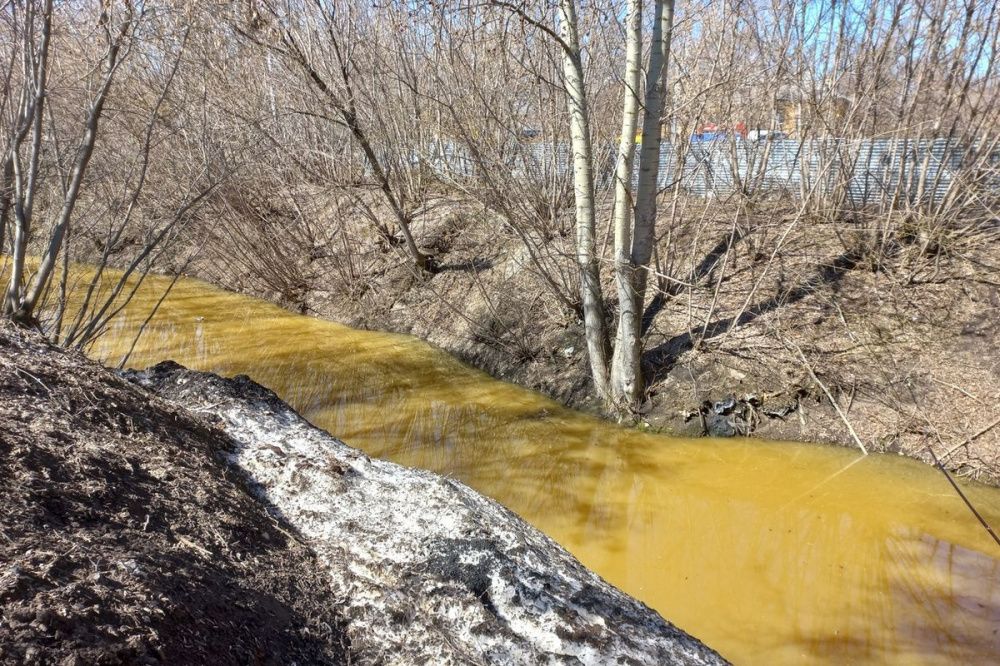 Фото Минэкологии выяснит причину окрашивания воды в речке Борзовка в Ленинском районе - Новости Живем в Нижнем