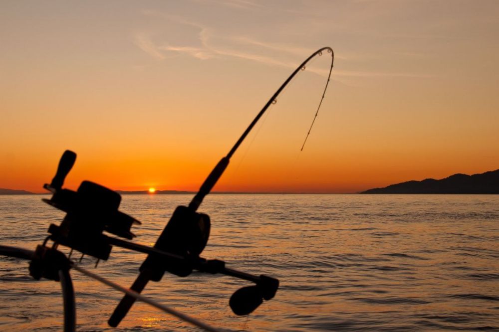 Ограничения для рыболовов вводятся на Горьковском море с 15 апреля