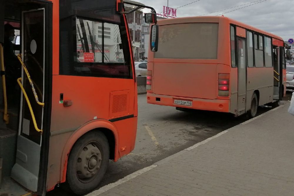 Отображаемость нижегородских автобусов в навигационной системе улучшилась на 40%