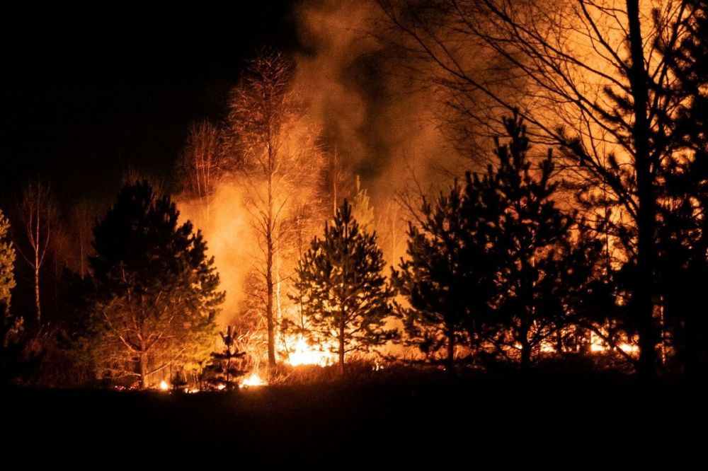 Режим ЧС введен в Воротынском районе из-за крупного лесного пожара