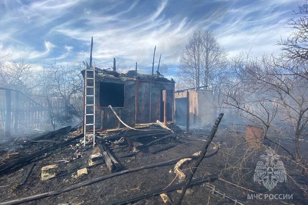 Дом сгорел в Арзамасе из-за поджога сухой травы 17 апреля