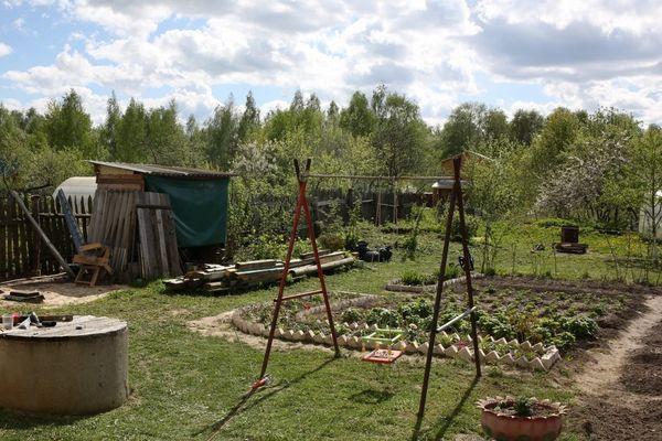 Только треть садоводческих товариществ сохранится в Нижнем Новгороде