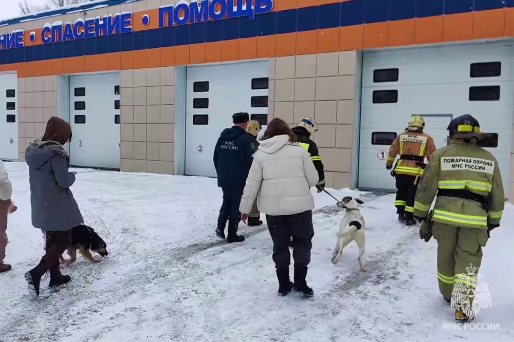 Фото Волонтеры с собаками приехали в пожарную часть на экскурсию в Нижнем Новгороде - Новости Живем в Нижнем