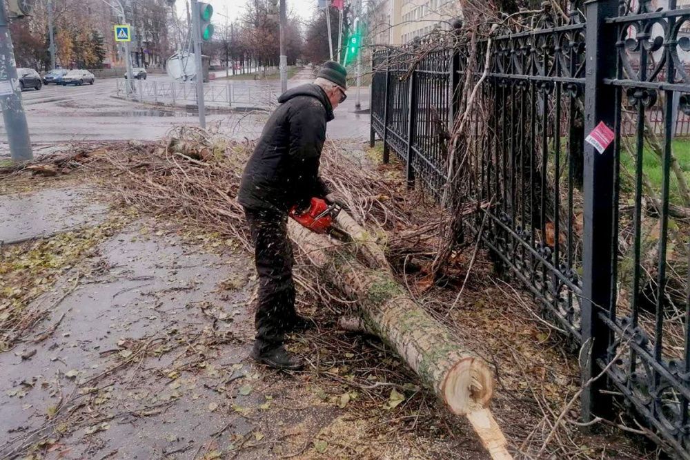 Фото Мэрия Нижнего Новгорода отчиталась об устранении последствий урагана - Новости Живем в Нижнем