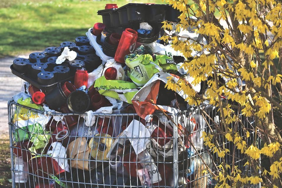 Фото Систему учета бытовых коммунальных отходов создадут в России по решению правительства - Новости Живем в Нижнем