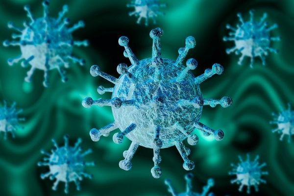 Медики предсказали варианты развития сценария пандемии коронавируса в России