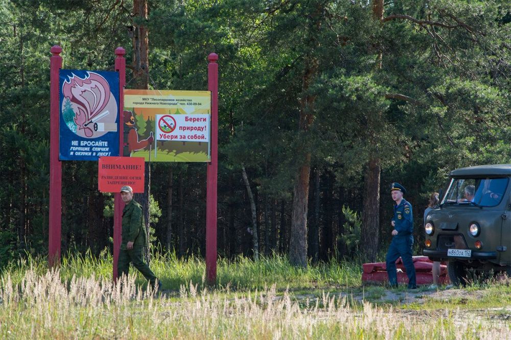 Нижегородцам грозит штраф в 10-20 тысяч рублей за разведение костров в лесах