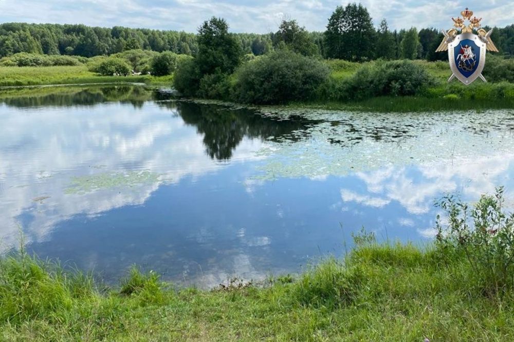 Следственный комитет начал проверку по факту смерти мужчины в реке Шарангского района