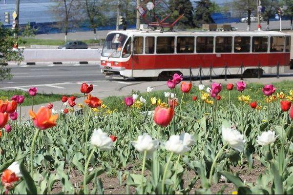 Фото Более 140 цветников разобьют в Нижнем Новгороде - Новости Живем в Нижнем