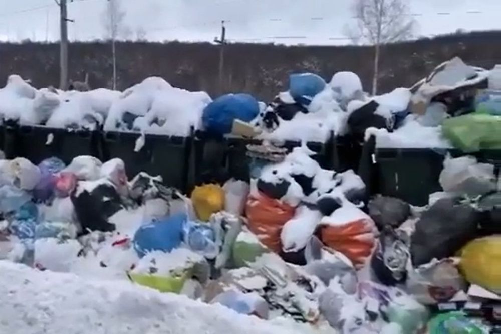Шалабаев потребовал проверить все жалобы нижегородцев на проблему вывоза мусора