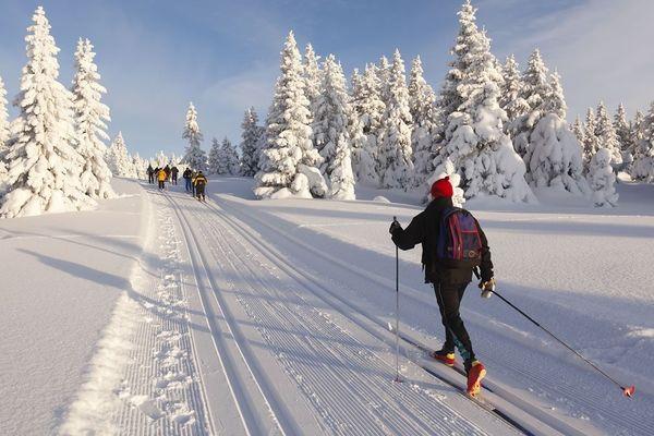 Освещенную лыжную трассу начали строить в Дзержинске