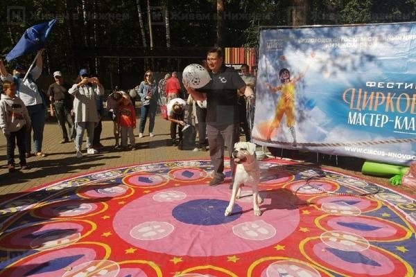 Фото Фестиваль цирковых мастер-классов прошёл в Нижнем Новгороде - Новости Живем в Нижнем