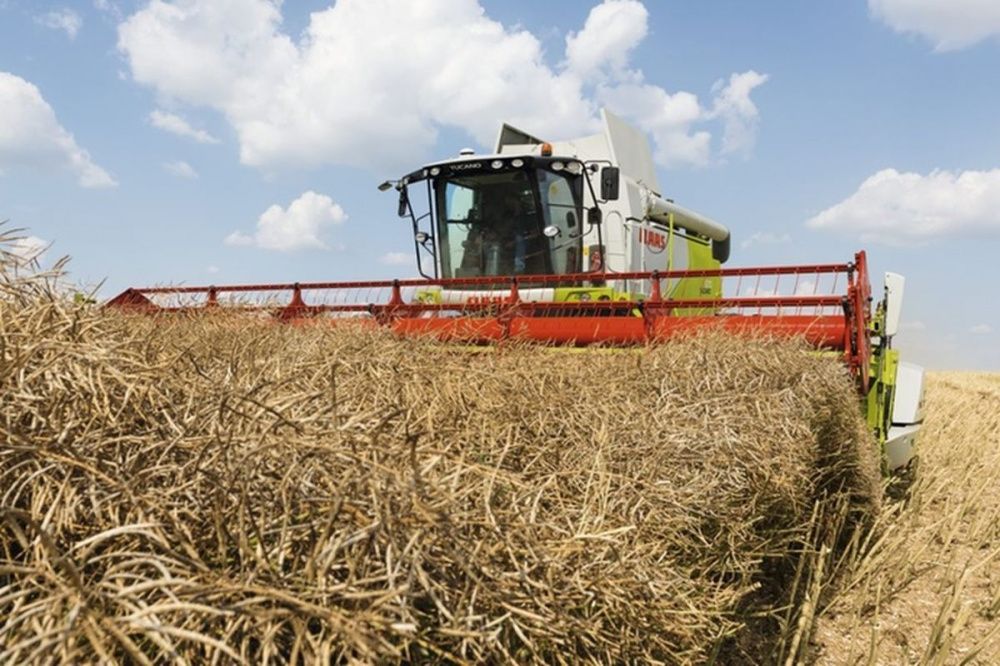 Производство сельхозпродукции увеличилось в Нижегородской области в 2022 году