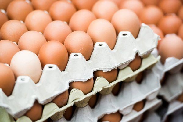 Нижегородцы смогут купить куриные яйца без наценки с 23 по 25 апреля