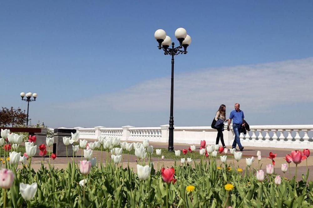 Фото Посадка тюльпанов завершается на клумбах в Нижнем Новгороде - Новости Живем в Нижнем