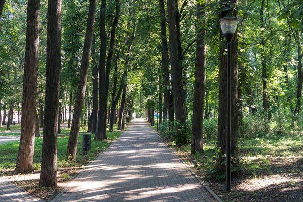 Второй аукцион на благоустройство парка Кулибина объявлен в Нижнем Новгороде