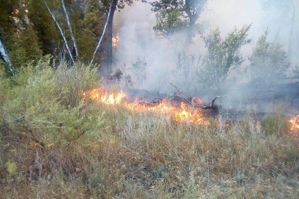 Лесной пожар 3 дня тушили в Навашинском городском округе 