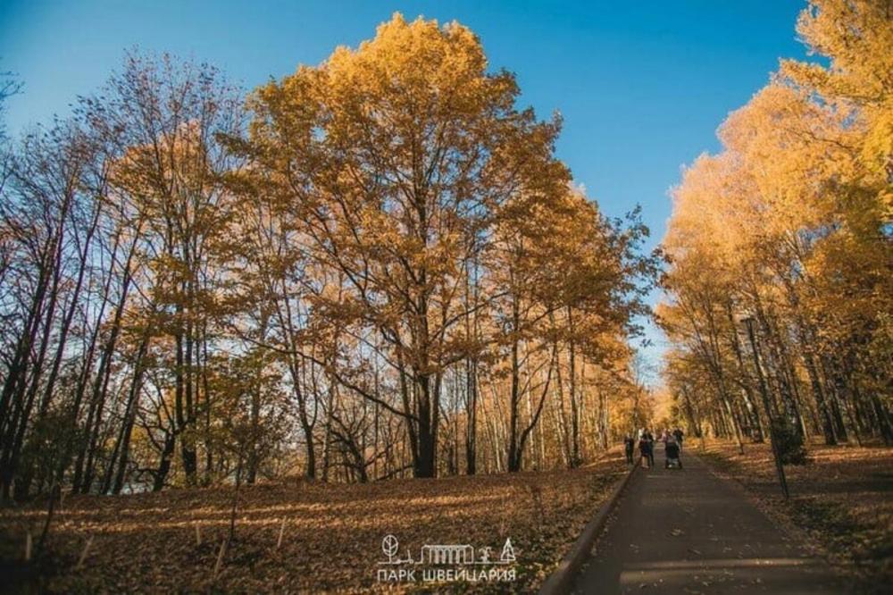 Фото 2 млн рублей выделят на устранение ошибок озеленения в парке «Швейцария» - Новости Живем в Нижнем