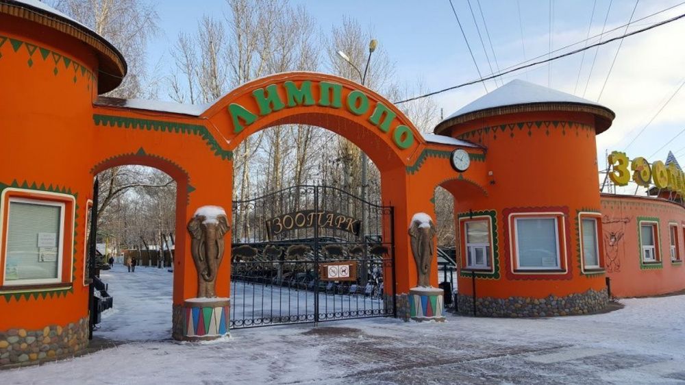 Фото Нижегородский зоопарк «Лимпопо» возобновляет именные акции для посетителей - Новости Живем в Нижнем