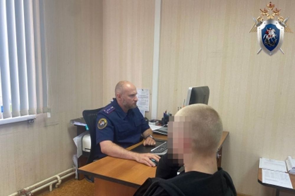 Фото Задержаны подозреваемые в нападении на нижегородских парней с крашеными волосами - Новости Живем в Нижнем