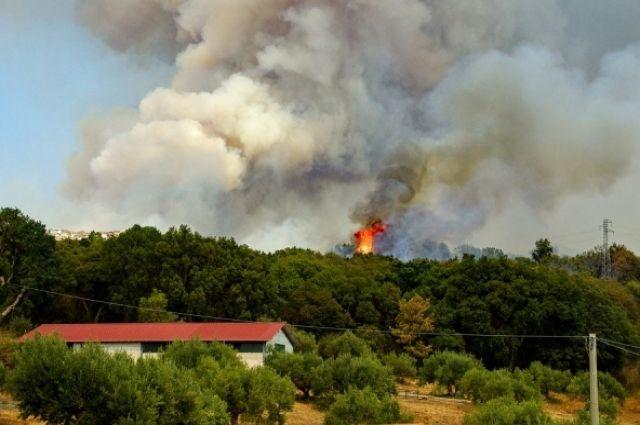 В нижегородских лесах высока опасность пожаров - МЧС