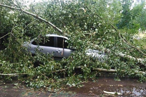 Фото Поваленные деревья после урагана убирают в Нижнем Новгороде - Новости Живем в Нижнем