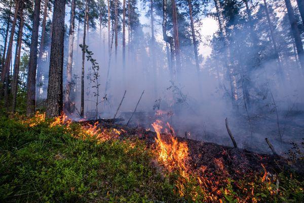 Высокая пожароопасность сохранится в лесах Нижегородской области до 6 сентября
