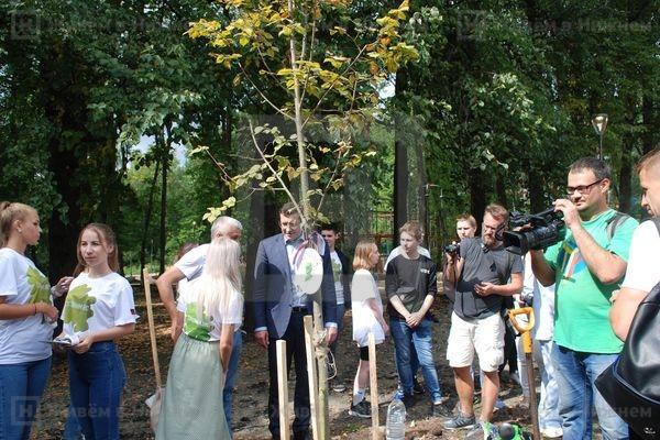 Фото 400 деревьев высадят в нижегородском парке «Швейцария» до ноября - Новости Живем в Нижнем