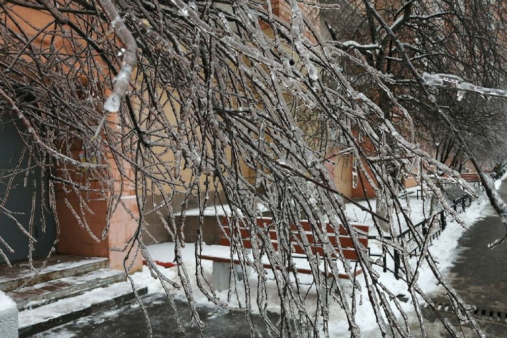 Фото Мэр Нижнего Новгорода оценил работу коммунальных служб после ледяного дождя - Новости Живем в Нижнем