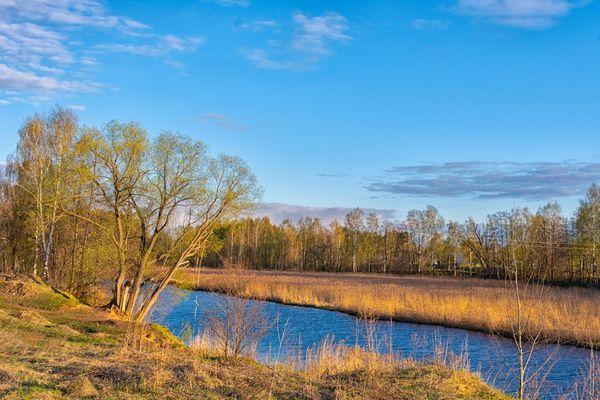 73-летний мужчина утонул в реке Теплая в Нижегородской области