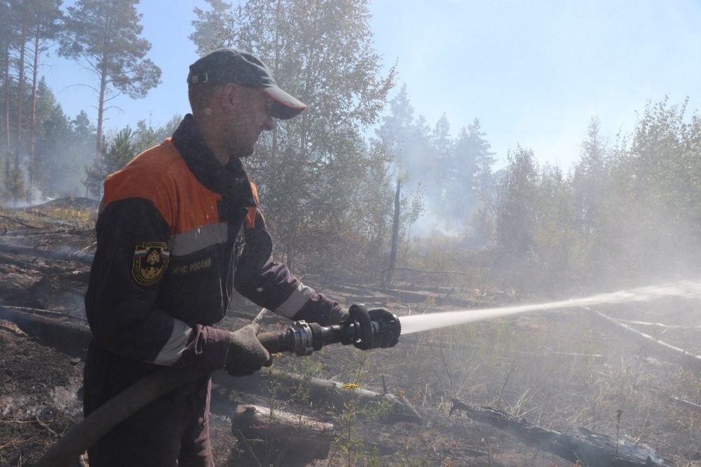 Фото Новые очаги лесных пожаров появились в районе нижегородского военного полигона - Новости Живем в Нижнем