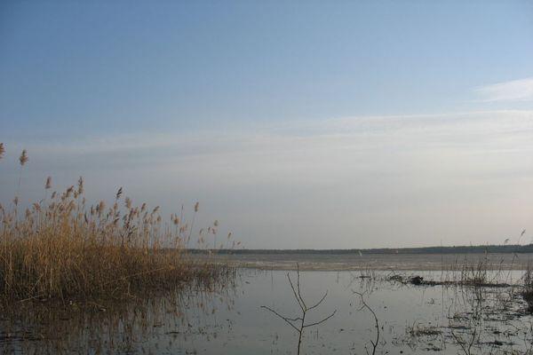 Чиновники министерства экологии не считают, что Пырское озеро в Дзержинске гибнет