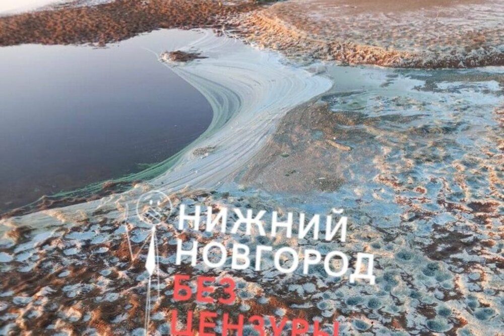 Фото Нижегородцы заметили странную субстанцию у берегов Волги в Малом Козине - Новости Живем в Нижнем