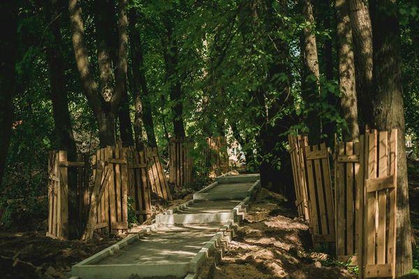Фото В парке «Швейцария» в Нижнем Новгороде высадили почти треть деревьев - Новости Живем в Нижнем